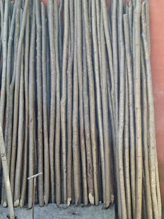 Pari de vânzare la 2 lei bucata ân legătură sunt 20 de bucăți