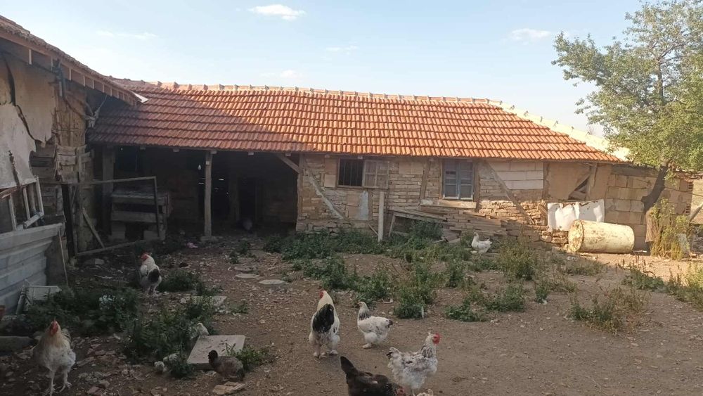 Продава се Къща в с. Глашатай, Област Търговище - 64 кв.м за 367 €/кв.м - Снимка #9