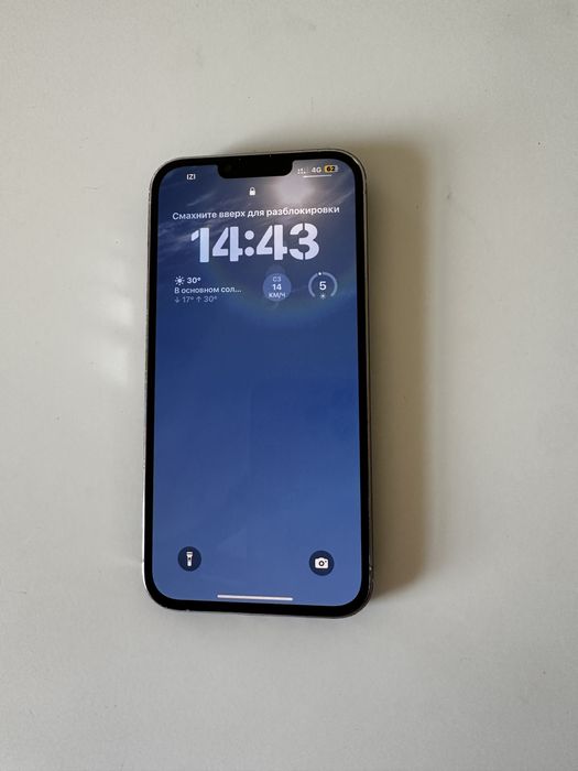 iPhone 13 pro max