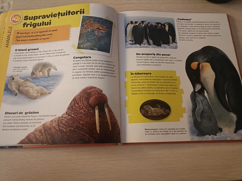 Enciclopedia Larousse pentru copii