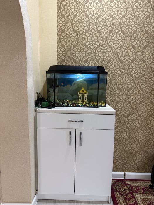 Срочно продам авкариум + тумбачка