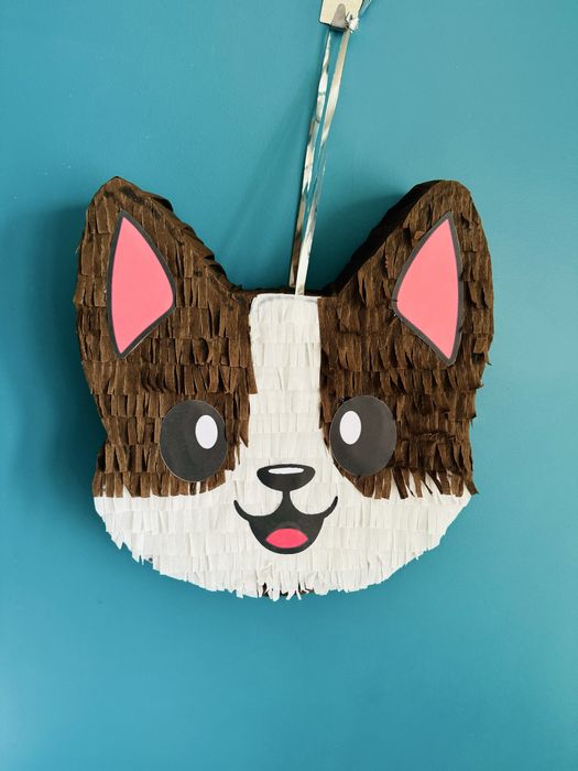 Куче пинята Кученце