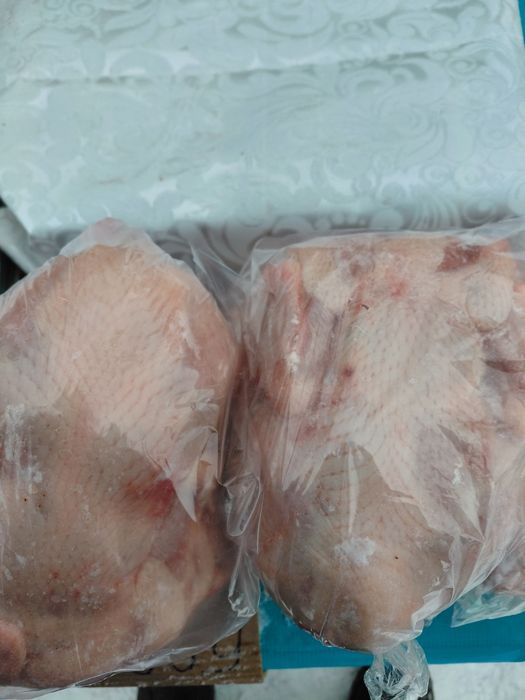 Куры, утки, гуси