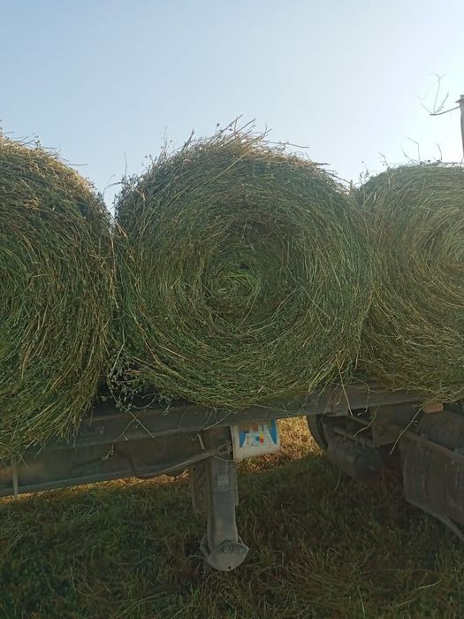 Сено рулон люцерны клевер