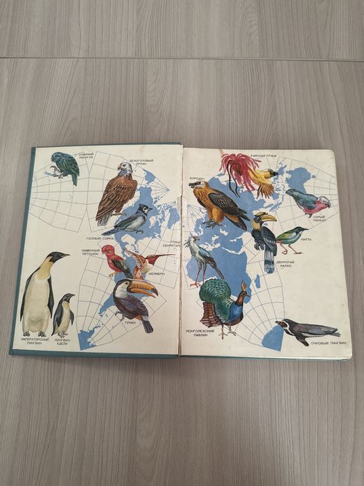 Птицы разных материков книга СССР