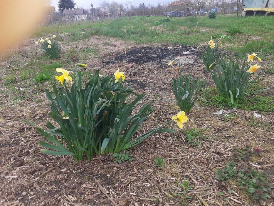Парцел с. Безводица обл. Добрич община Балчик