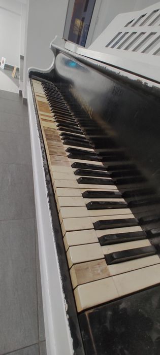 Pian Stingl Original