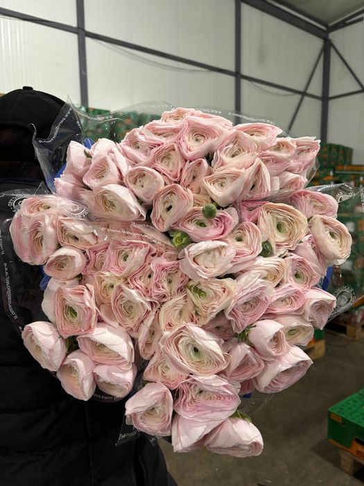 Цветы,доставка цветов,пионы,букет роз