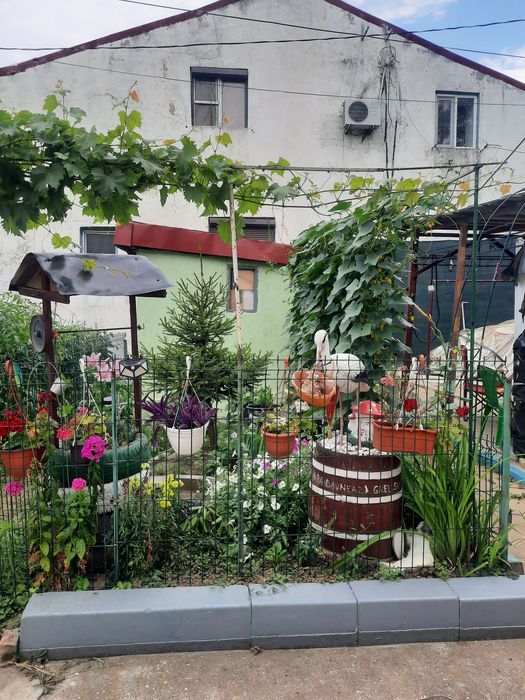 Case de vanzare în Braila