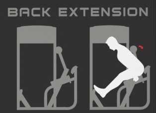 Фитнес Уред за Гръбни Екстензии – Back Extension IF9332