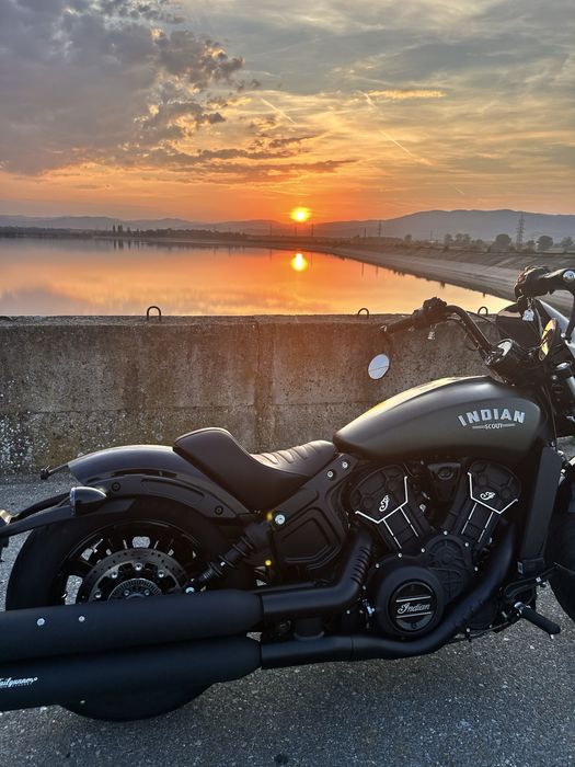 Indian Scout Rogue