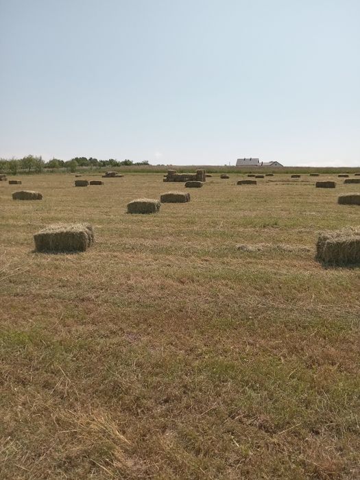 Vand baloti fan an 2025