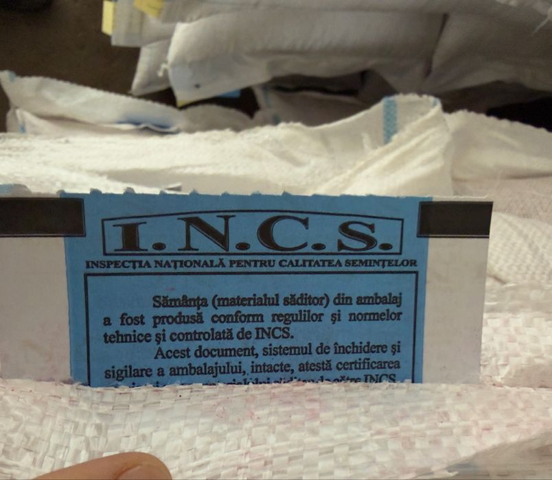 Samânță grâu soi primavara Granny C1