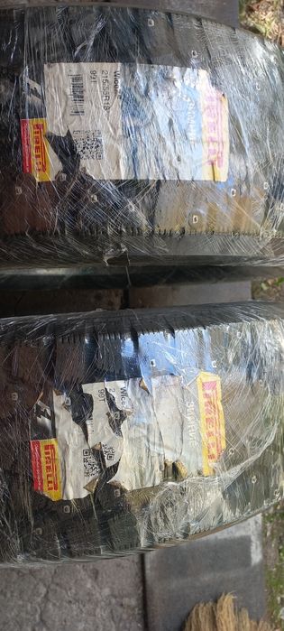 Продам два болона Pireli