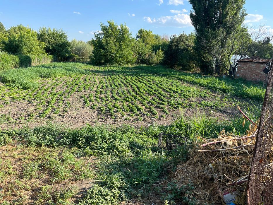 Дворно място до главен път