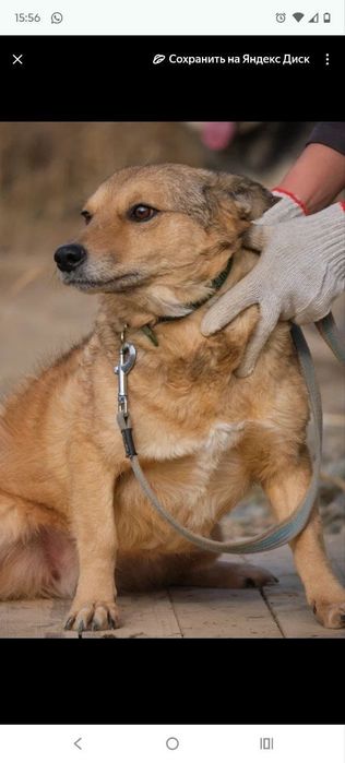 кОмпаНьеНы сТорожа ОхраНиики