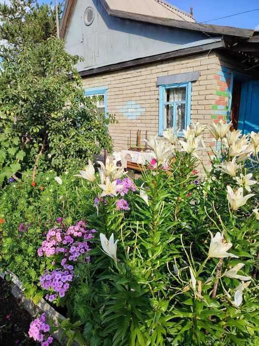 Дача, СО "Пригородное"