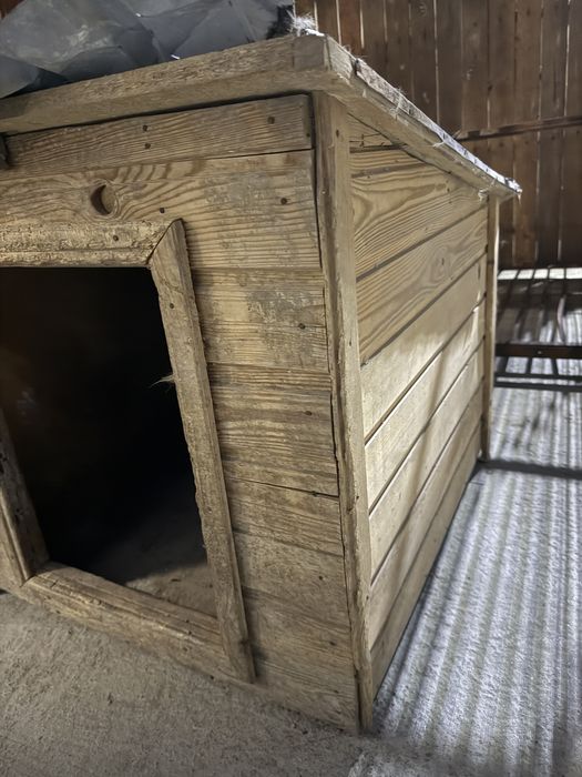 Бутка для собак 5000 тг состояние