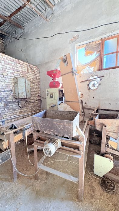 Шоли тегирмони куп ишламага