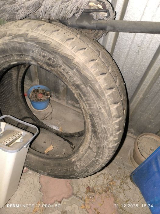 Продам шины на Прадик