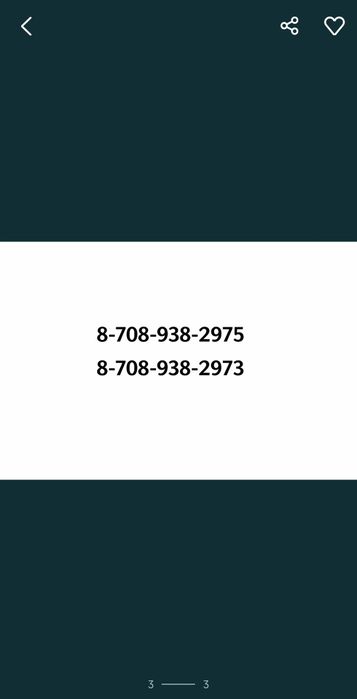 Срочно отдам кошку