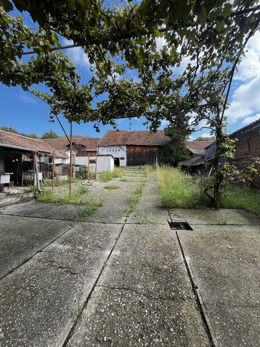 Casă de vânzare în Slimnic – 1.860 mp teren + anexe