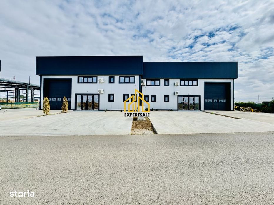 Depozit/Hala/Spatiu Industrial Domnesti