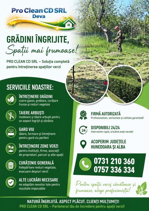 Servicii de curățenie