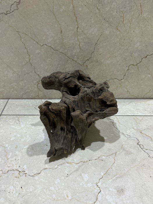 Karyaga sotiladi akvarium uchun