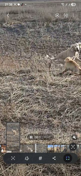 Рабочий тазы сатылады