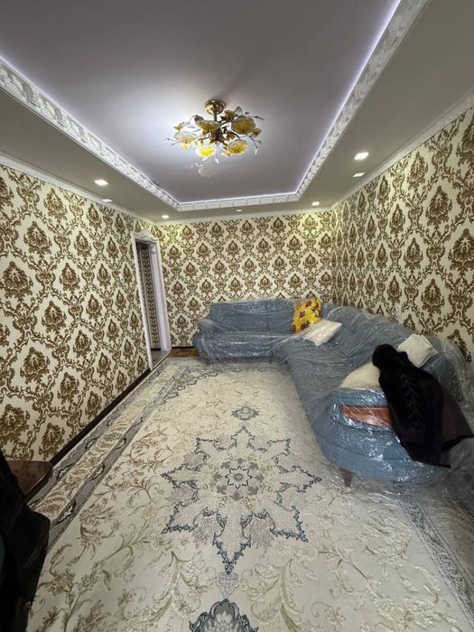 Ижарага Радуга 250$