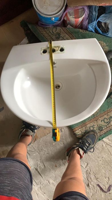 Раковина тюльпан