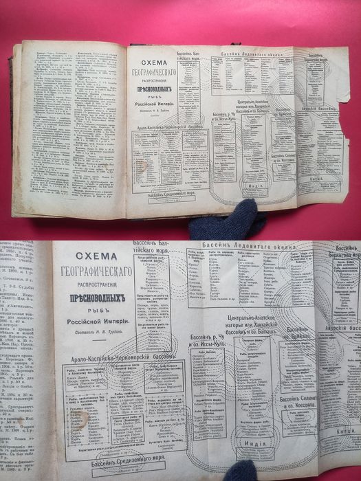 Раритет 1911 года «РЫБЫ РОССIИ» Л.П. Сабанеев.