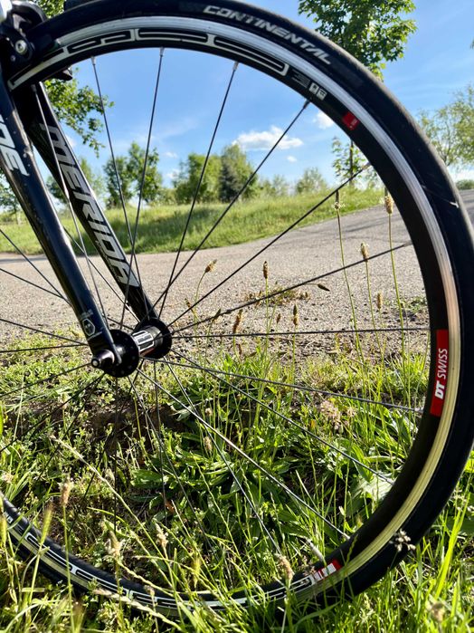 Cursiera Merida Ride 95