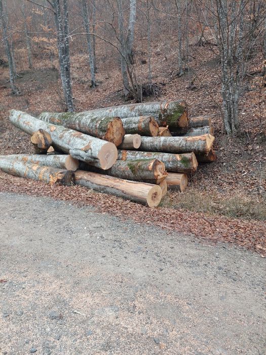 Lemn pentru foc,lucru (FAG si MOLID]