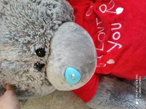 Teddy ойинчок янги биркаси билан