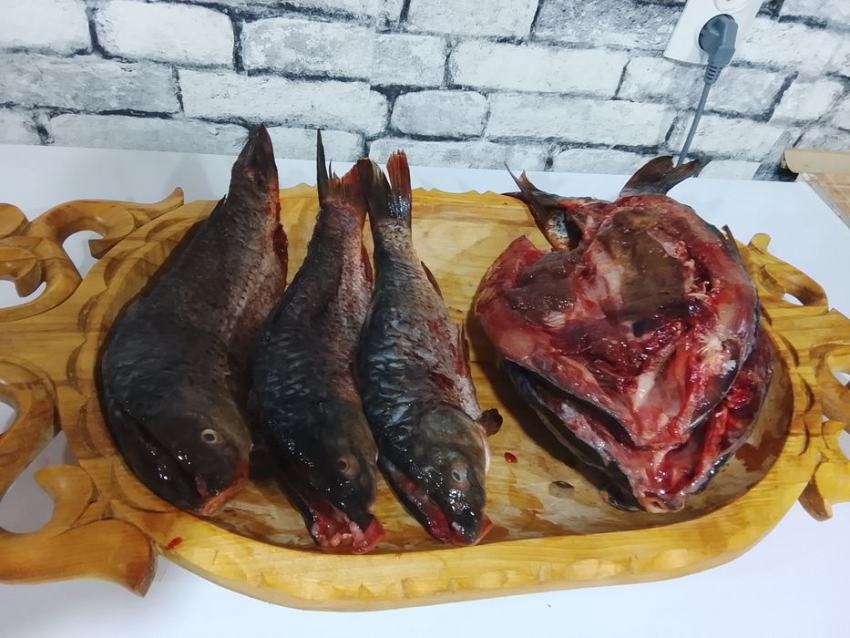 Сазан Иргизский реч
