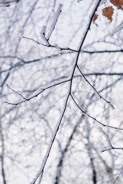 Canon EOS 750D фотоаппарат