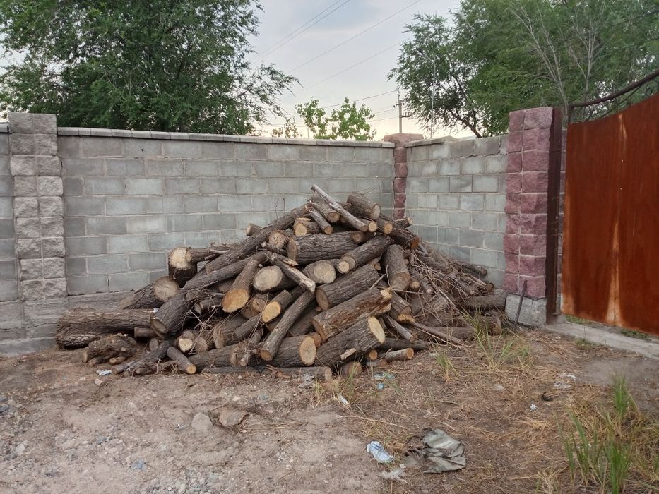 Продам дрова сухие