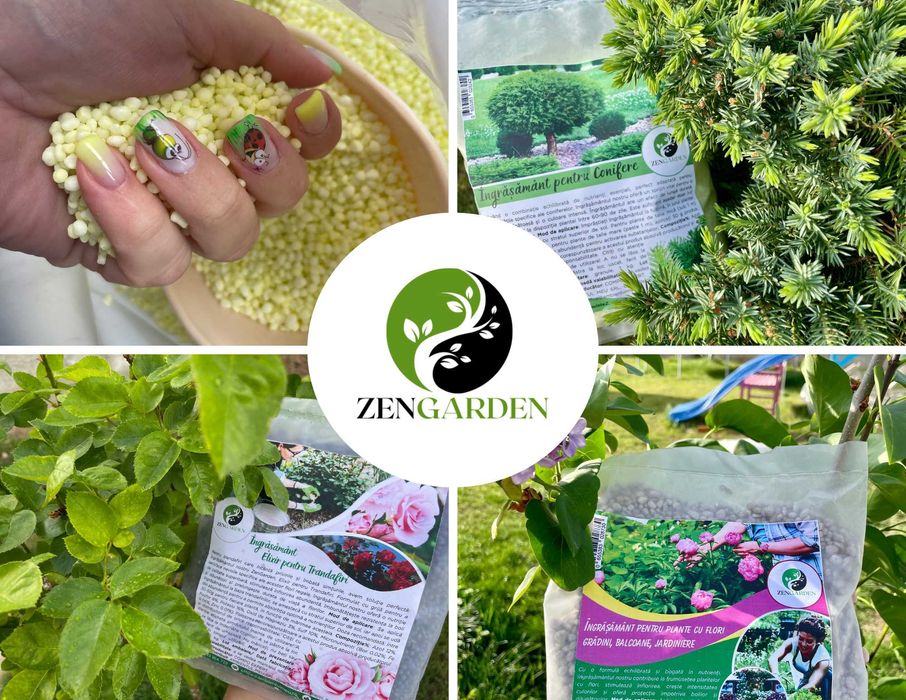 Ingrasaminte plante, flori, conifere, gazon, legume, pomi fructiferi