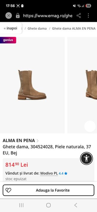 ALMA EM PENA. Ghiete daman