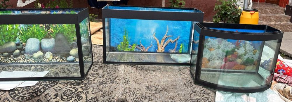Аквариумлар ва стеллаж