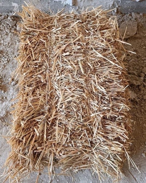 Somon press holati yaxshi