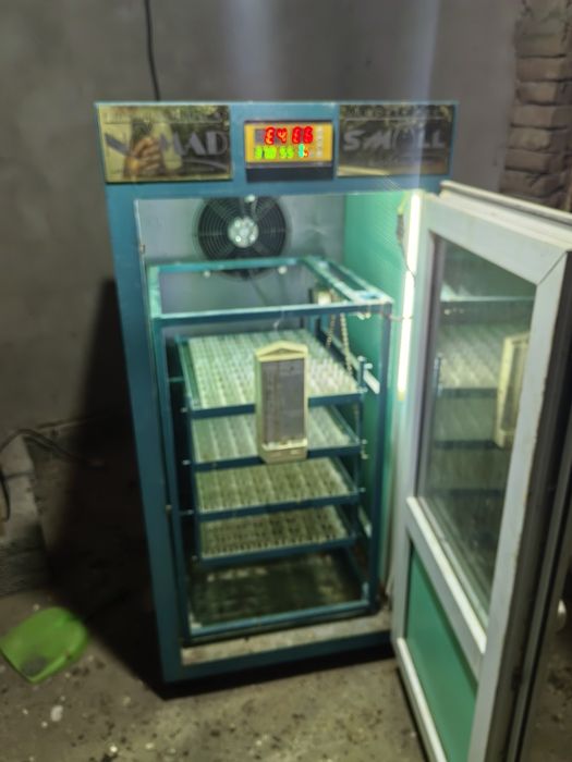 Инкубатор Nomad pro balapan 352