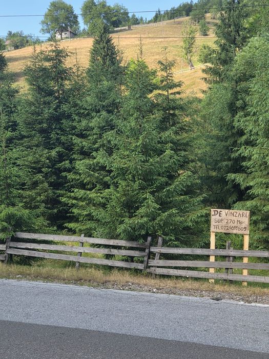 Vand 270m Teren la Sosea  Rîu în Spate Aproape de Vartop Arieseni Alba