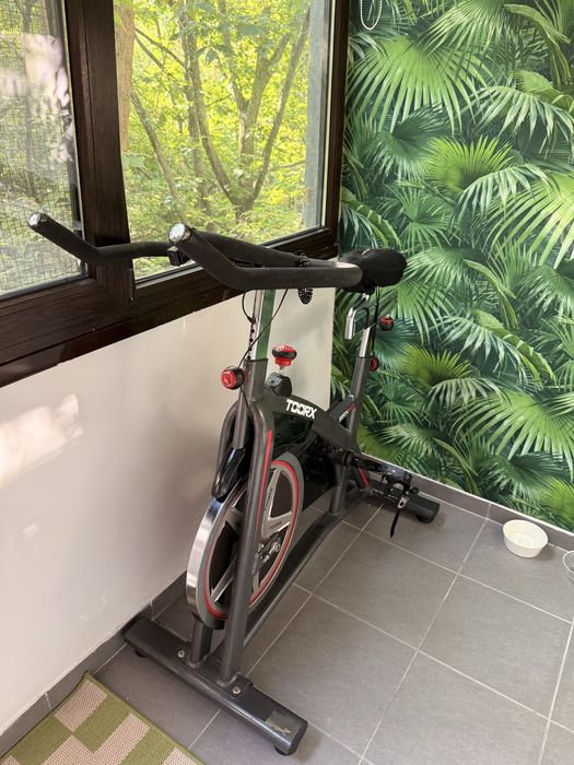 Bicicleta cycling