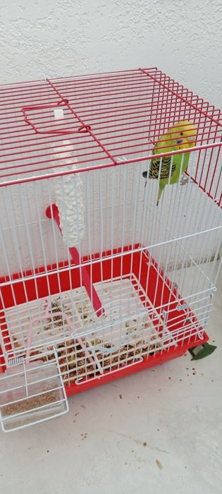 Продам клетку для попугая