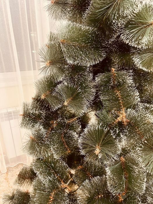 Продам ёлку бу. Высота 185