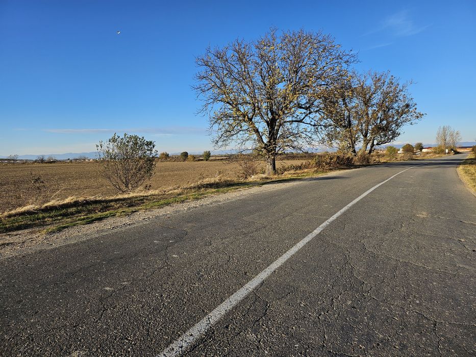 Продава се Земеделски имот в с. Рогош, Област Пловдив -  кв.м за 7600 €/дка - Снимка #2