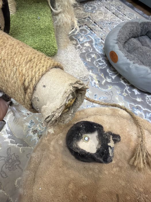 Продам домик когтеточку для кошек